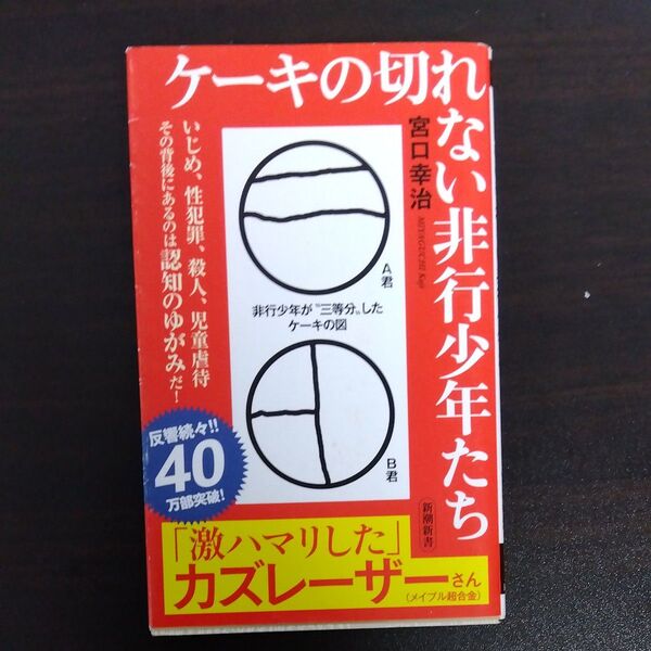 ケーキの切れない非行少年たち (新潮新書 820) 宮口幸治/著