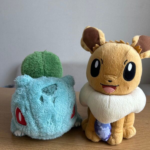 ポケットモンスター ポケモン ぬいぐるみ イーブイ フシギダネ