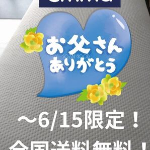 【〜6/15限定!57850円⇒29999円】父の日セール!全国送料無料!エマ・スリープ エマ・ハイブリッドV2 シングル
