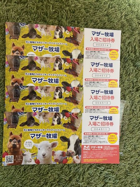 マザー牧場 入場ご招待券 4枚 入場券 セット チケット