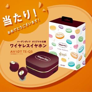 【当選品】ハーゲンダッツ AVIOT TE-Q3 ワイヤレスイヤホン