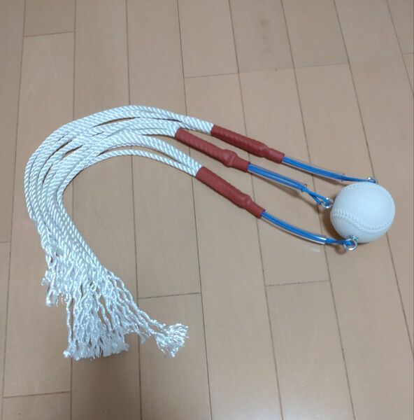 ピッチング練習 軟式野球ボールJ球 シャドーピッチングギアⅢ ロープトレーナー