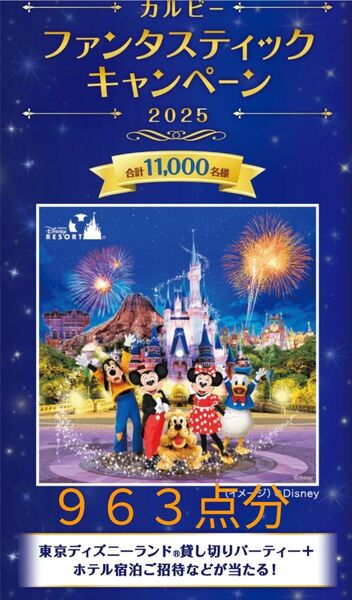 懸賞 カルビー 東京ディズニーランド ディズニー パークチケット ディズニーランド ファンタスティックキャンペーン 応募券
