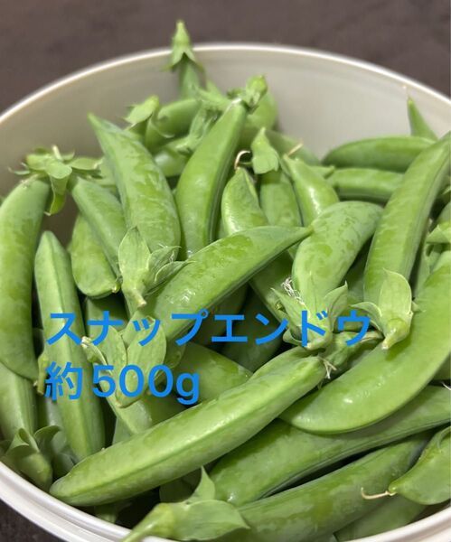 スナップエンドウ 約500g