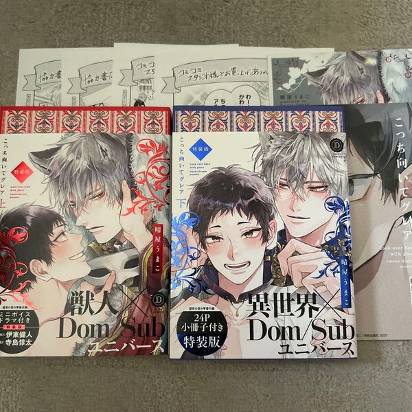 BLコミック こっち向いてグレア 上下巻 晴屋うまこ コミコミスタジオ特典付き