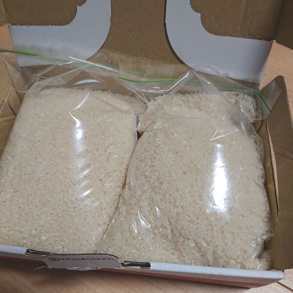 お米 令和6年度産 キヌヒカリ 白米 1.9㎏