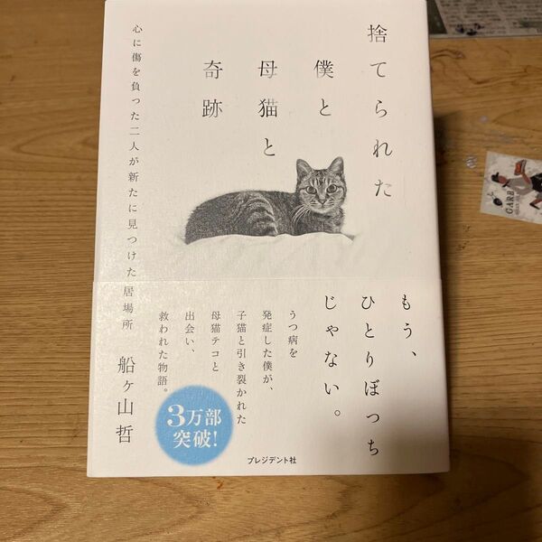 捨てられた僕と母猫と奇跡