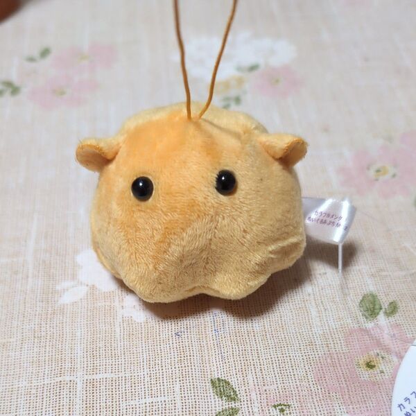 カラフルメンダコ、ぬいぐるみプチMC2