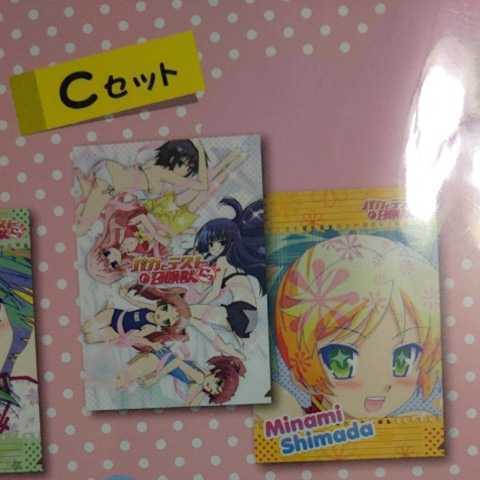 バカとテストと召喚獣 にっ! くじ引き@本舗 H賞 Wポケット クリアファイル 水着 状態S