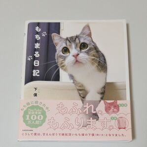 もちまる日記 写真集 フォトブック