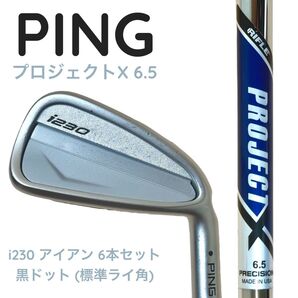 【送料無料】PING i230 アイアンセット 6本 PROJECT X 6.5