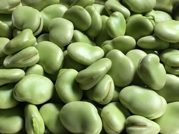 むきそら豆 500g