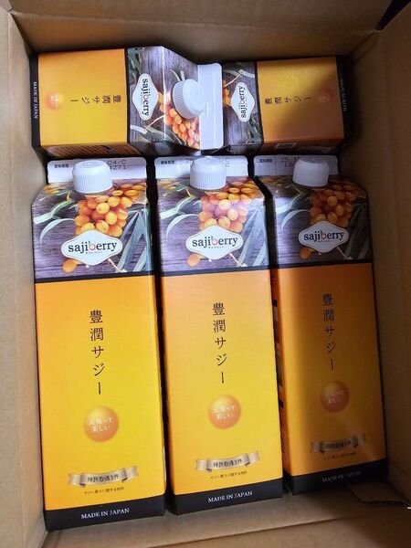 豊潤サジー 5本セット