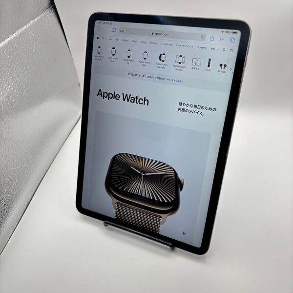 iPad Pro 第1世代 11インチ 256GB スペースグレイ Wi-Fiモデル FTXQ2J/A バッテリー86%