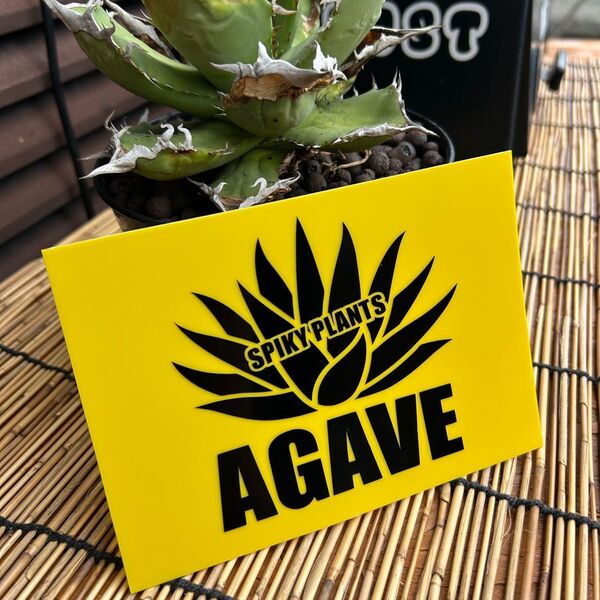 アガベ プラ看板 ガーデニング 観葉植物 カッティングステッカー アメリカン雑貨 世田谷ベース