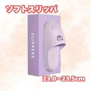 ソフトスリッパ 23.0cm~23.5cm カートゥーンベアデザイン♪ 滑り止め厚底◎ 履き心地快適!