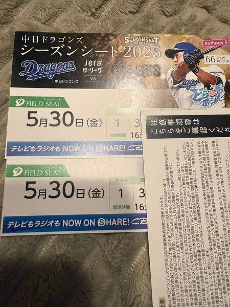 中日×巨人 5/30(金) バンテリンドーム ペアチケット