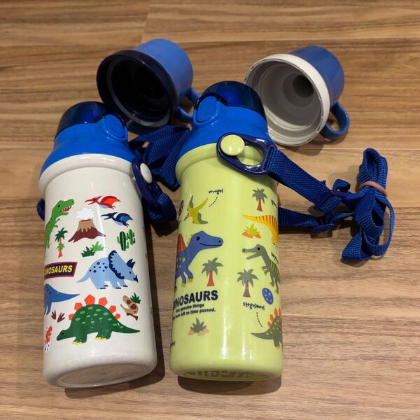スケーター 水筒 Skater 480ml 恐竜 PSB5KD プラスチック 直飲み 保育園 遠足 ピクニック 子供用 子供水筒