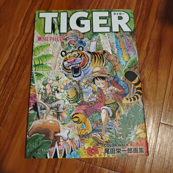 ONEPIECE 尾田栄一郎 画集 イラスト集 COLORWALK 9 TIGER ワンピース