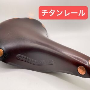 希少 BROOKS ブルックス PROFESSIONAL プロフェッショナル チタンレール 大銅鋲