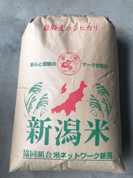 令和6年産 新潟県 岩船産コシヒカリ 玄米20kg
