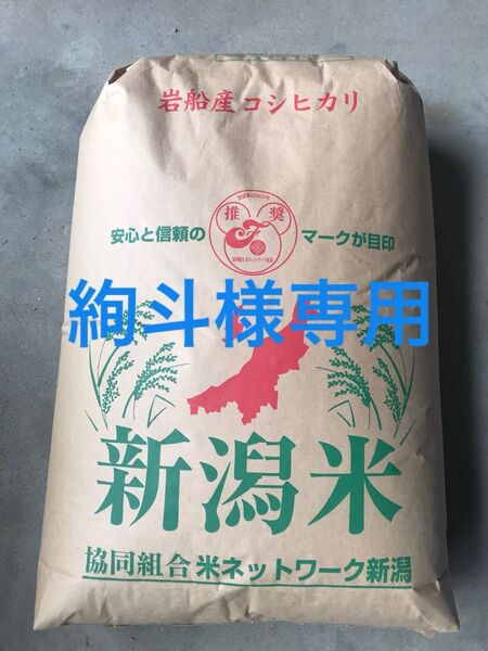 令和6年差 新潟県 岩船産コシヒカリ 玄米10kg 【専用以外はキャンセルします。】