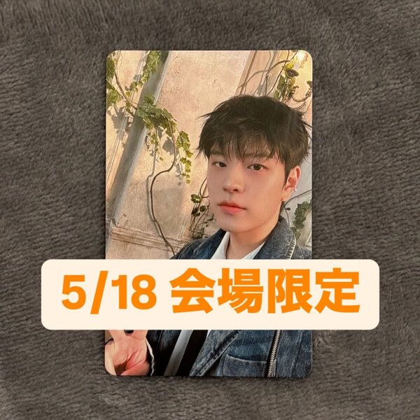 Stray Kids Hollow 5/18 会場限定 トレカ スンミン