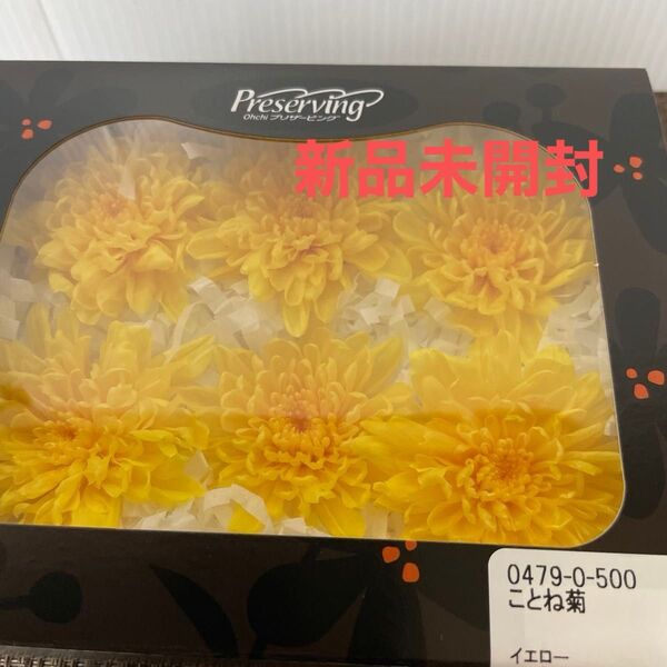 花材 プリザーブドフラワー ことね菊 イエロー 新品未開封 最近入荷