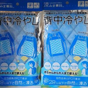 涼みま専科 背中冷やし 2個セット
