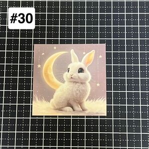 ☆1点限り☆#30 白うさぎと月 防水ステッカー(耐水・耐光)