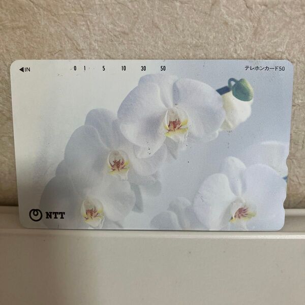 NTT 未使用テレホンカード
