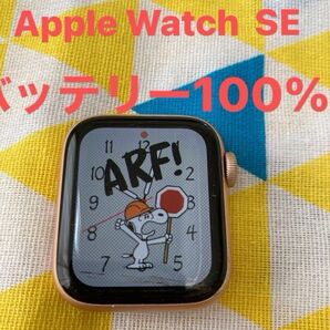 バッテリー 100% Apple Watch SE アップルウォッチ