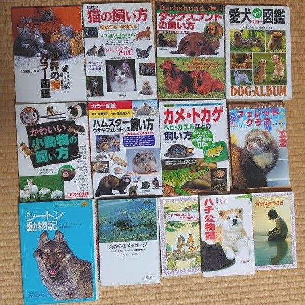 猫 犬 小動物 フェレット 爬虫類 亀 カメ トカゲ ヘビ ハムスター ウサギ ダックスフンド 飼い方 動物 図鑑 まとめ売り