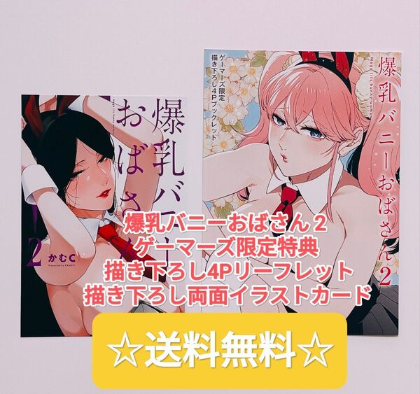 ☆プレミア品☆ 爆乳バニーおばさん 2 ゲーマーズ 限定特典 描き下ろし4P リーフレット 描き下ろし両面イラストカード