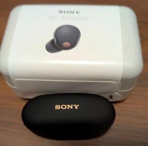 【値下げ交渉歓迎】SONY WF-1000XM5 美品 ブラック ワイヤレスイヤホン 右耳のみ カラビナケース付き