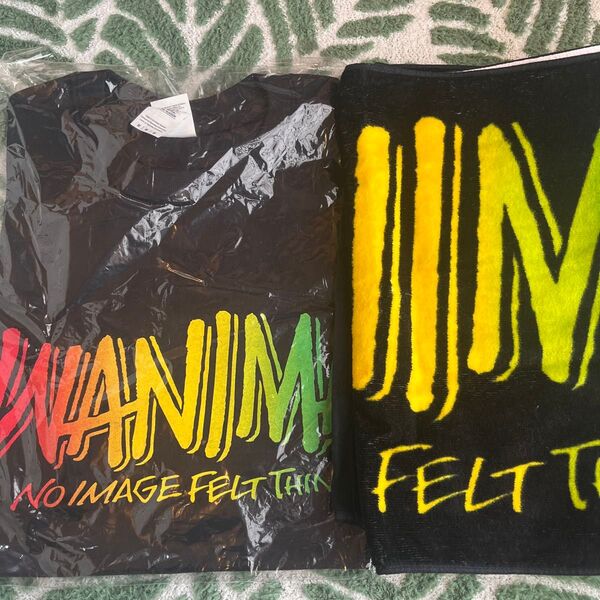 WANIMAライブTシャツMサイズ、タオル