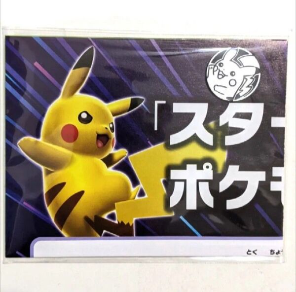 ポケモンカードゲーム 紙製プレイマット&ポケモンコイン ピカチュウ 未開封品