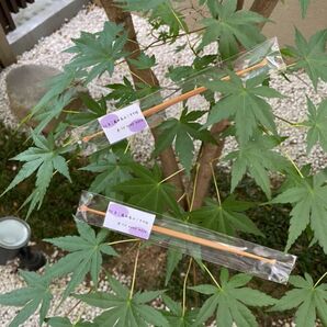 【新品 未使用】手作り 究極の耳かき 飛騨高山 すす竹 2本 耳かき