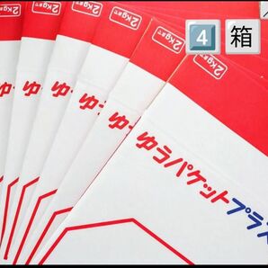 4点 1種 箱詰め合わせ 箱 詰め合わせ ゆうパケットプラス専用箱 ゆうパケットプラス 専用箱