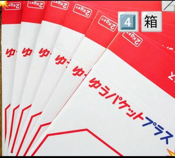 4点 1種 箱詰め合わせ 箱 詰め合わせ ゆうパケットプラス専用箱 ゆうパケットプラス 専用箱