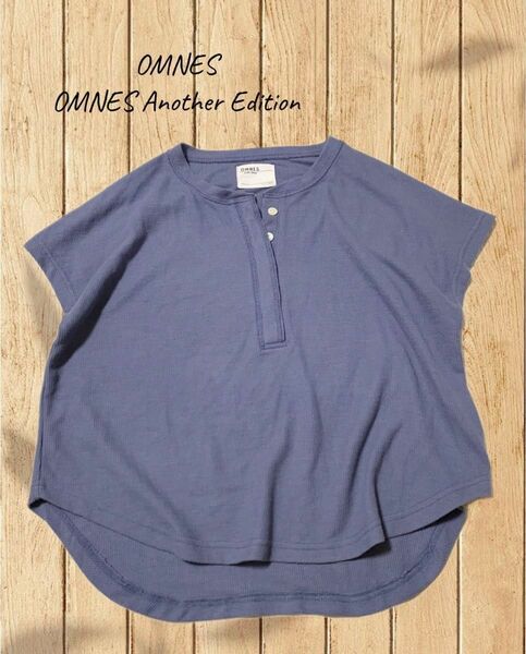 レディース トップス 半袖 Tシャツ カットソー フレンチスリーブ ヘンリーネック ワッフル ブルー サイズ感F 【使用感あり】