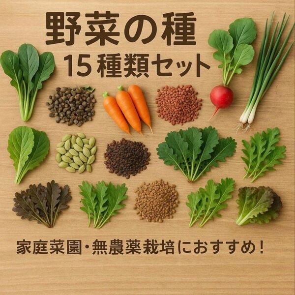野菜の種セット【2025年】家庭菜園・無農薬栽培におすすめ!