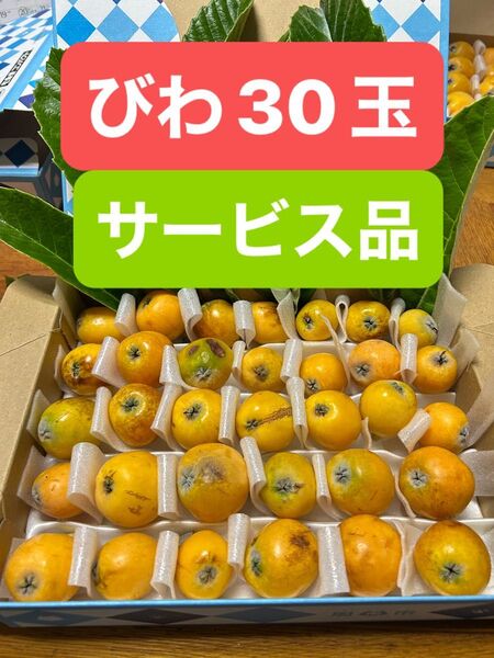 ペイペイフリマ限定1品 サービス品 びわ 30玉 果物フルーツデザートスイーツジャムコンポート期間限定