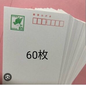 官製はがき 60枚 普通紙