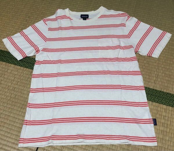 patagonia パタゴニア オーガニックコットン Tシャツ Sサイズ ボーダー