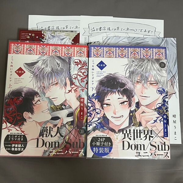 BL漫画 こっち向いてグレア 上下 特装版 晴屋うまこ