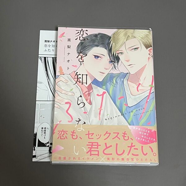 BL漫画 恋を知らないふたり 嵩梨ナオト