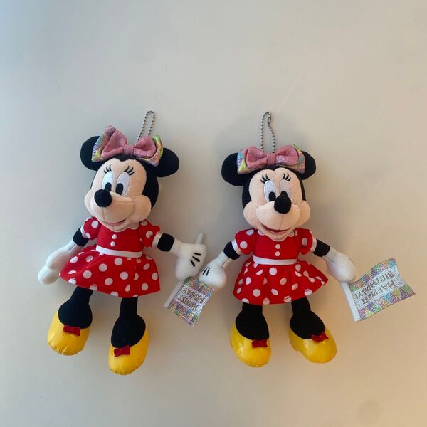 東京ディズニーランド ミニー ぬいぐるみバッジ ミニー ぬいぐるみバッジ TDR ミニーマウス
