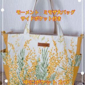 モーメント大バッグ サイドポケット付き お洒落な紐 中にポケット2つ マチ12 荷物が多い方用