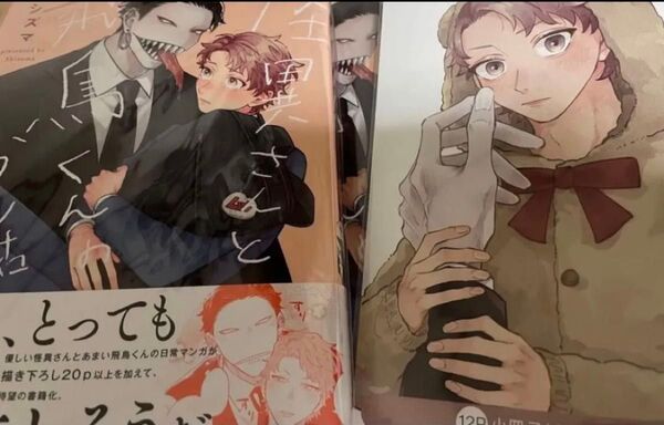 怪異さんと飛鳥くんのお話 とらのあな小冊子 シズマ